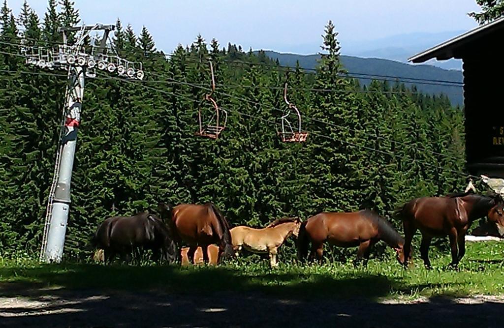 Apartmani Marija Jahorina Bagian luar foto