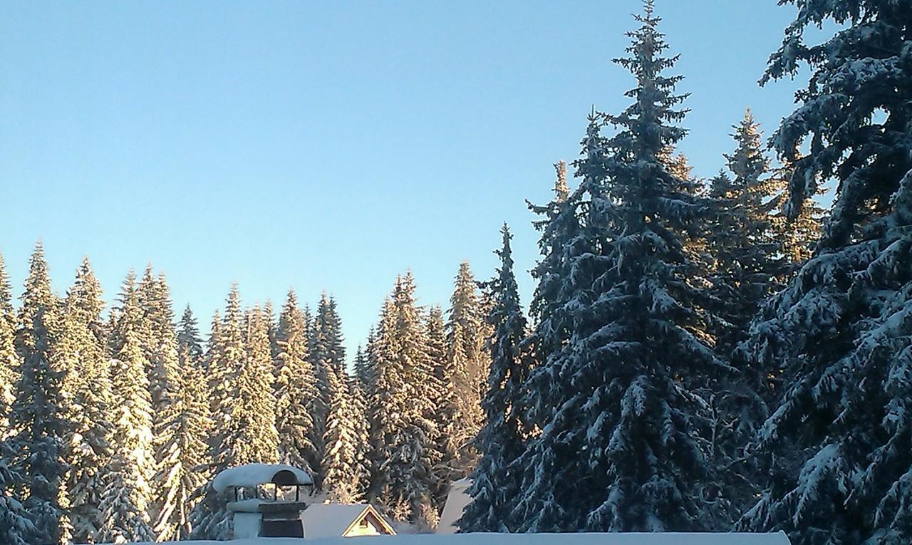 Apartmani Marija Jahorina Bagian luar foto