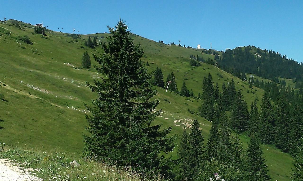 Apartmani Marija Jahorina Bagian luar foto